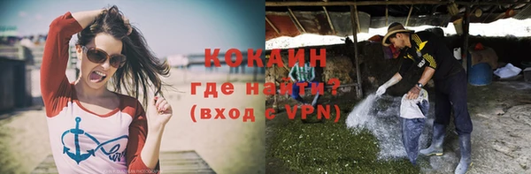 прущие крисы Бородино