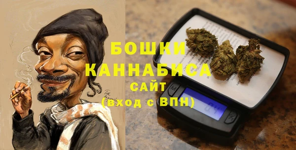 прущие крисы Бородино